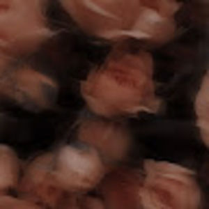 Meet your Posher, Rivkah rayzl